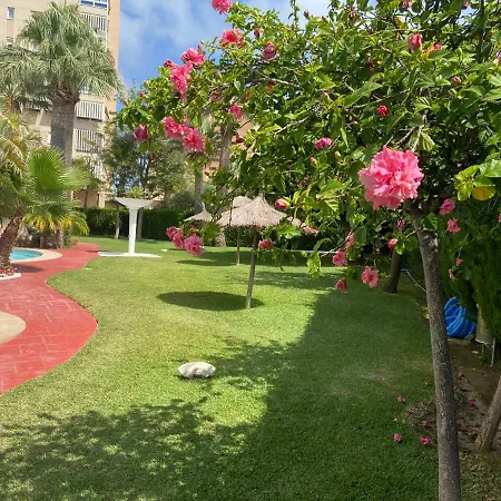 Alicante En La Playa Muchavista-san Juan - Marluma Frente Al Mar *